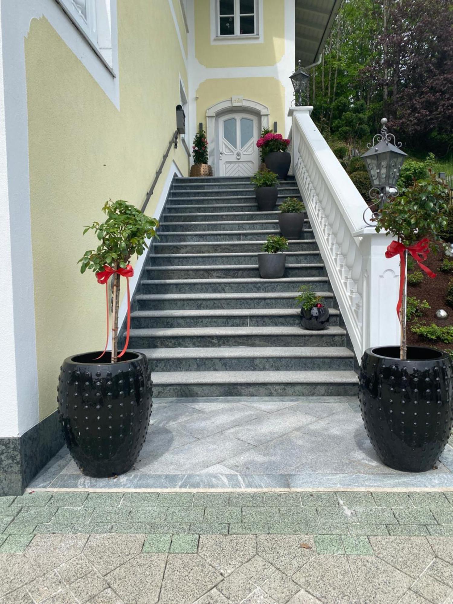 Appartement Bergblick I Faistenau Exterior foto
