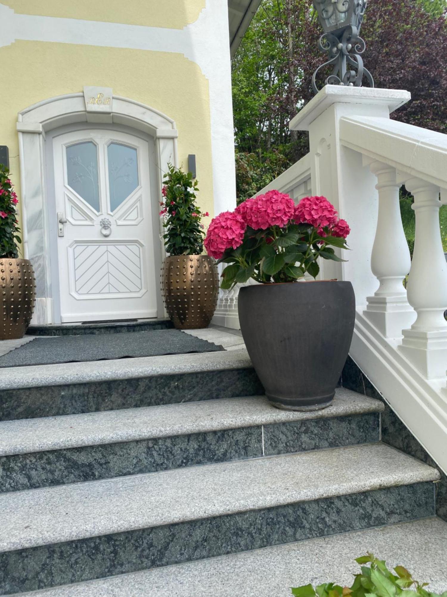 Appartement Bergblick I Faistenau Exterior foto